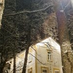 Villa Hagan kaavassa pystyyn on jäämässä vain Villa Haga